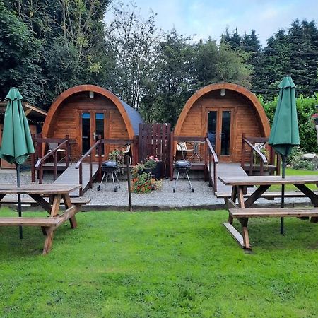 Log cabin Kells  Ngoại thất bức ảnh