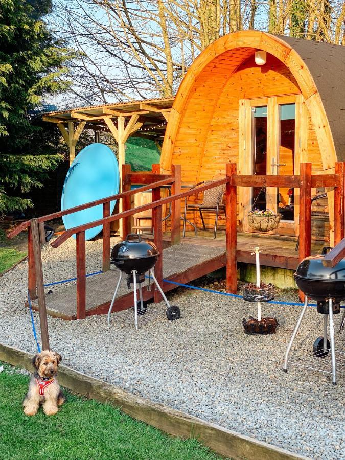 Log cabin Kells  Ngoại thất bức ảnh