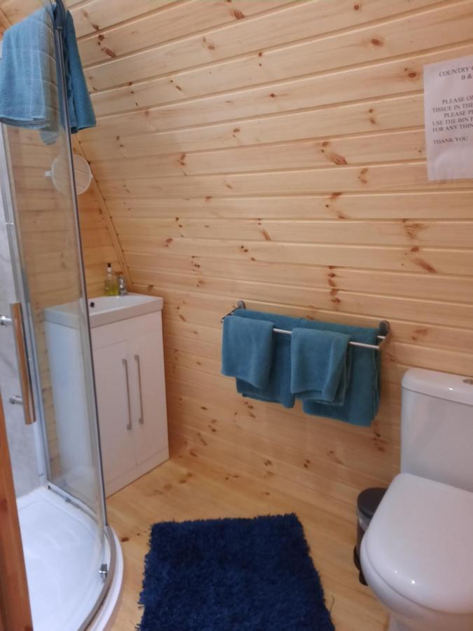 Log cabin Kells  Ngoại thất bức ảnh